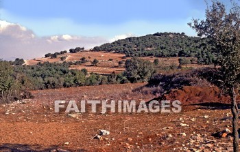 mount, Carmel, Israel, Galilee, mountain, range, Mediterranean, sea, Haifa, Elijah, pagan, prophet, test, fire, carmelite, Monastery, altar, mounts, mountains, ranges, seas, pagans, prophets, tests, fires, monasteries