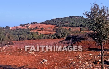 mount, Carmel, Israel, Galilee, mountain, range, Mediterranean, sea, Haifa, Elijah, pagan, prophet, test, fire, carmelite, Monastery, altar, mounts, mountains, ranges, seas, pagans, prophets, tests, fires, monasteries