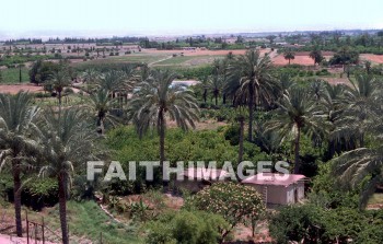 Jericho, Judea, Israel, wall, battle, War, Joshua, Elisha, elisha's spring, joshua 3--8, 2 kings 2:19-22, elisha's fountain, ain es-sultan spring, miracle, tropical, palm trees, Oleander, flower, sea level, winter resort, trade route, walls, battles, wars, miracles, flowers