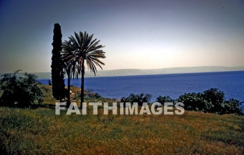 Israel, Galilee, sea, Jesus, ministry, miracle, lake, Jordan, river, fishing, Name, Gennesaret, chinnereth, Tiberias, St., Peter's, church, franciscan, miracle, seas, ministries, miracles, lakes, rivers, names, Churches