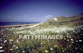 Israel, Galilee, sea, Jesus, ministry, miracle, lake, Jordan, river, fishing, Name, Gennesaret, chinnereth, Tiberias, Ein, Gev, flower, seas, ministries, miracles, lakes, rivers, names, flowers