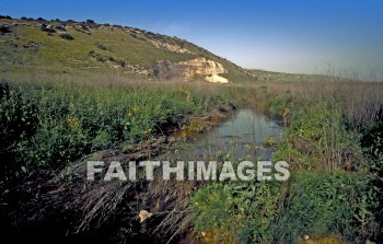 Valley, vale, Elah, David, goliath, Shephelah, Judea, Samaria, Wadi, wadis, es-sant, Acacia, acacias, shittim, terebinths, oak, brook, water, valleys, vales, oaks, brooks, waters, joel 3:18, 1 samuel 17:2