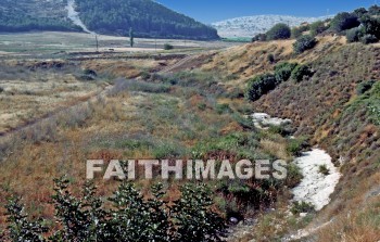 Valley, vale, Elah, David, goliath, Shephelah, Judea, Samaria, Wadi, wadis, es-sant, Acacia, acacias, shittim, terebinths, oak, brook, water, valleys, vales, oaks, brooks, waters, joel 3:18, 1 samuel 17:2