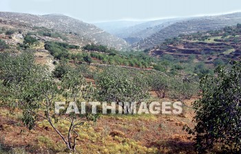 Bethel, Israel, Beitin, beit, el, Jacob, ladder, stairway, Angel, heaven, Valley, south, ladders, stairways, angels, heavens, valleys