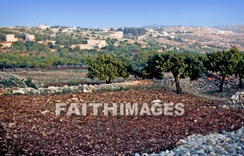 Bethel, Israel, Beitin, beit, el, Jacob, ladder, stairway, Angel, heaven, village, House, home, residence, dwelling, ladders, stairways, angels, heavens, villages, houses, homes, residences, dwellings