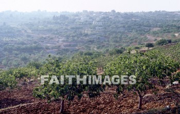 Bethel, Israel, Beitin, beit, el, Jacob, ladder, stairway, Angel, heaven, village, House, home, residence, dwelling, ladders, stairways, angels, heavens, villages, houses, homes, residences, dwellings