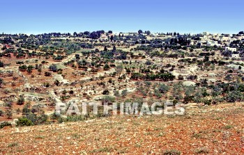 Bethel, Israel, Beitin, beit, el, Jacob, ladder, stairway, Angel, heaven, village, House, home, residence, dwelling, ladders, stairways, angels, heavens, villages, houses, homes, residences, dwellings