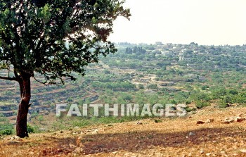 Bethel, Israel, Beitin, beit, el, Jacob, ladder, stairway, Angel, heaven, village, House, home, residence, dwelling, ladders, stairways, angels, heavens, villages, houses, homes, residences, dwellings