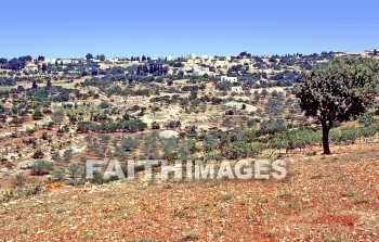 Bethel, Israel, Beitin, beit, el, Jacob, ladder, stairway, Angel, heaven, village, House, home, residence, dwelling, ladders, stairways, angels, heavens, villages, houses, homes, residences, dwellings