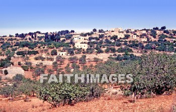 Bethel, Israel, Beitin, beit, el, Jacob, ladder, stairway, Angel, heaven, village, House, home, residence, dwelling, ladders, stairways, angels, heavens, villages, houses, homes, residences, dwellings