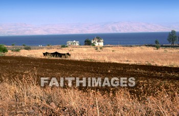 Capernaum, Galilee, Israel, sea, Galilee, matthew, official, nobleman, son, heal, healed, heals, Healing, miracle, Roman, Centurion, soldier, servant, commander, seas, officials, sons, miracles, Romans, soldiers, Servants