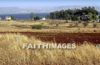 Capernaum, Galilee, Israel, sea, Galilee, matthew, official, nobleman, son, heal, healed, heals, Healing, miracle, Roman, Centurion, soldier, servant, commander, seas, officials, sons, miracles, Romans, soldiers, Servants