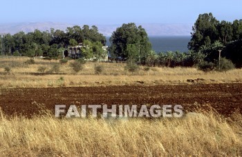 Capernaum, Galilee, Israel, sea, Galilee, matthew, official, nobleman, son, heal, healed, heals, Healing, miracle, Roman, Centurion, soldier, servant, commander, seas, officials, sons, miracles, Romans, soldiers, Servants