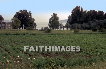 Capernaum, Galilee, Israel, sea, Galilee, matthew, official, nobleman, son, heal, healed, heals, Healing, miracle, Roman, Centurion, soldier, servant, commander, seas, officials, sons, miracles, Romans, soldiers, Servants