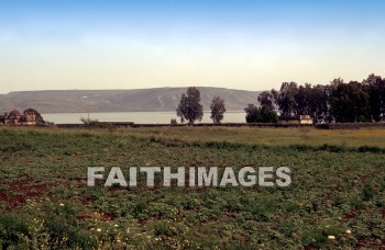 Capernaum, Galilee, Israel, sea, Galilee, matthew, official, nobleman, son, heal, healed, heals, Healing, miracle, Roman, Centurion, soldier, servant, commander, seas, officials, sons, miracles, Romans, soldiers, Servants