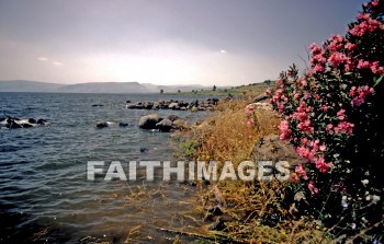 Capernaum, Galilee, Israel, sea, Galilee, matthew, official, nobleman, son, heal, healed, heals, Healing, miracle, Roman, Centurion, soldier, servant, commander, seas, officials, sons, miracles, Romans, soldiers, Servants