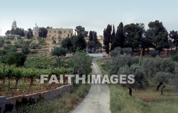 hebron, Israel, kirjath-arba, Sarah, abraham, Jacob, Leah, Isaac, Rebekah, cave, Machpelah, haram, el-khalil, Arabs, David, ruled, Judah, mamre, oak, caves, oaks