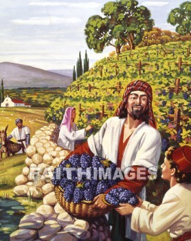 vineyard, worker, fair, fairly, fair-minded, fairness, matthew 20: 1-16, laborer, farm, farming, agriculture, open, frank, honest, impartial, candid, just, reasonable, moderate, honorable, decent, civil, Beautiful, nice, equitable, upright
