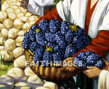 basket, Grape, vineyard, vine, farm, farming, agriculture, baskets, grapes, vineyards, vines, farms, agricultures