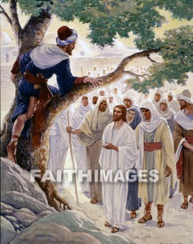 Zacchaeus, Sycamore, tree, Jesus, honest, honestly, honesty, luke 19: 1-10, frank, open, truthful, sincere, upright, straightforward, candid, reliable, true, trustworthy, honorable, trusty, just, equitable, fair, ingenuous, genuine, faithful