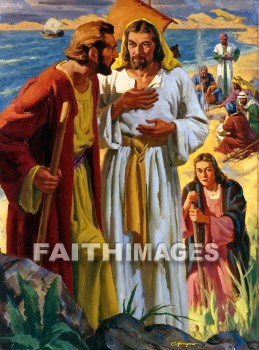 peter, Jesus, sea, Galilee, sea of galilee, feed, sheep, john 21: 15-25, seas, feeds