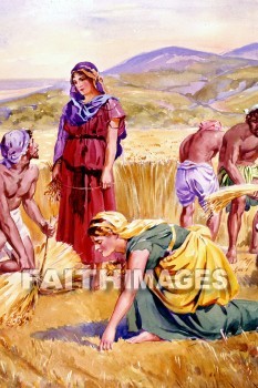 Ruth, Boaz, glean, gleans, gleaned, Gleaning, grain, harvest, agriculture, ruth 2, serving, faithfulness, faithful, faithfully, dependable, affectionate, loving, grains, harvests, agricultures