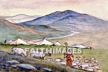 Shepherd, sheep, care, cared, caring, follow, follows, followed, following, lead, led, leading, shepherds, cares, followings, leads