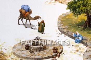 House, rooftops, courtyard, window, well, Camel, houses, windows, wells, camels