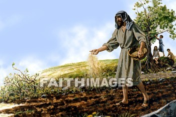 Parable, Sower, sow, sowed, sowing, sown, sowers, sower's, sowers', mark 4: 1-25, planting, fling, toss, plant, put in, Seed, strew, bestrew, broadcast, disseminate, scatter, straw, propagate, drill in, implant, set in