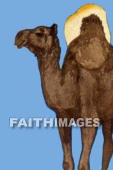 camel.travel, traveled, travel, traveling, transportation, transport, caravan, safety, safe, safer, safest, safely, safety, Travels, transportations, transports, caravans, safes, safeties