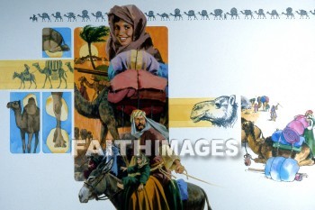 Camel, donkey, travel, traveled, traveling, transportation, transport, caravan, safety, safe, safer, safest, safely, safety, camels, Donkeys, Travels, transportations, transports, caravans, safes, safeties