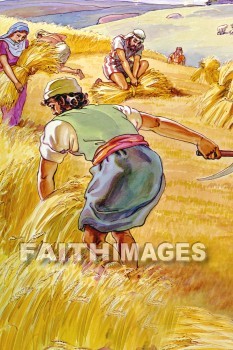 grain, Wheat, barley, harvest, harvesting, harvested, agriculture, farm, farming, farmed, farmer, sickle, bundle, grains, harvests, agricultures, farms, farmers, sickles, bundles