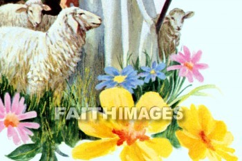 sheep, Shepherd, Jesus, good shepherd, follow, follows, followed, following, follower, follower's, followers', shepherds, followings, followers