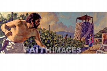 Jesus, Parable, matthew 21:33-46, tenant, vineyard, vine, Grape, agriculture, farming, farmer, farm, wicked, wickedly, wickedness, iniquitous, vile, sinful, wayward, wrong, vicious, erring, dissolute, disorderly, disreputable, corrupt, immoral