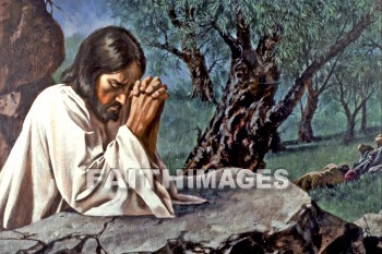 Jesus, garden of gethsemane, Gethsemane, garden, Jesus, matthew 26:30, 36-46, mark 14:26, 32-42, luke 22:39-46, john 18:1, Pray, prays, prayed, praying, prayer, prayerful, prayerfulness, beg, appeal, beseech, entreat, implore, importune, plead, supplicate
