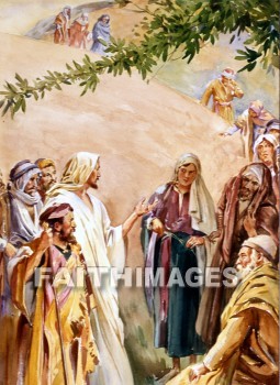 Pharisees, Sadducees, Jesus, disciple, Sabbath, matthew 12:1-8, mark 2:23-28, luke 6:1-5, harvesting, work, disciples, sabbaths, works