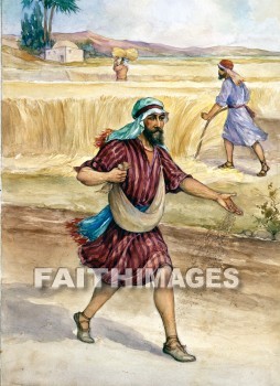 Parable, Story, Story, matthew 13:3-23, mark 4:3-25, luke 8:5-18, Seed, sow, Sower, sowing, ground, soil, dirt, parables, stories, seeds, sows, grounds, soils