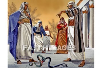 Moses, aaron, rod, Snake, miracle, exodus 7:10-13, magician, Egypt, Swallow, rods, snakes, miracles, magicians, swallows