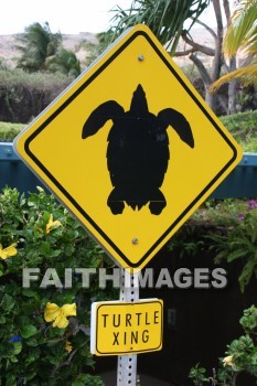 Turtle, crossing, sign, signboard, signage, signboards, message, information, communicate silently, non, verbally, signal, turtles, crossings, signs, messages, signals