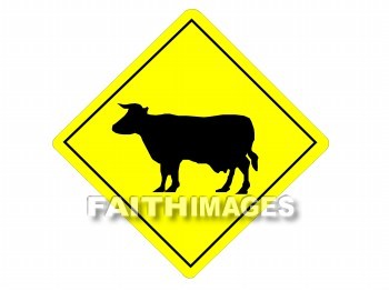 cattle, crossing, sign, signboard, signage, signboards, message, information, communicate silently, non, verbally, signal, crossings, signs, messages, signals