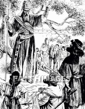 Samuel, Saul, 1 samuel 15, disobey, disobeys, disobeyed, disobeying, disobedient, disobedience, disobediently, insubordination, defiance, insurgence, disregard, violation, lack of obedience, neglect, mutiny, Revolt, nonobservance, strike, infringement, transgression, waywardness, stubbornness, noncompliance