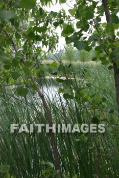 Pond, water, farm, door county, wisconsin, ponds, waters, farms