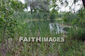 Pond, water, farm, door county, wisconsin, ponds, waters, farms