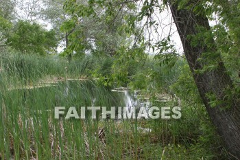 Pond, water, farm, door county, wisconsin, ponds, waters, farms