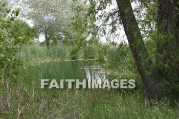 Pond, water, farm, door county, wisconsin, ponds, waters, farms