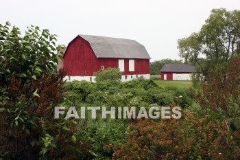 red barns, red, barn, farm, door county, wisconsin, barns, farms