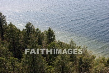 forest, green bay, door county, wisconsin, forests