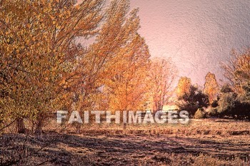 tree, nature, tranquil, environment, wood, season, foliage, day, outdoors, forest, outside, leaf, leaf, tranquility, Landscape, land, creation, trees, natures, environments, woods, seasons, foliages, days, forests, outsides