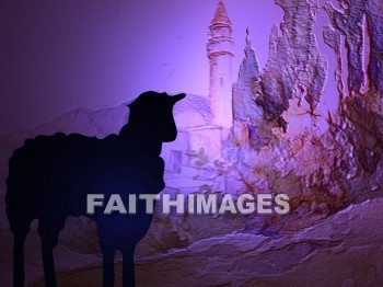 Goat, Ram, Horn, background, Backgrounds, desktop, Presentation, powerpoint, christian, goats, Rams, Horns, presentations, Christians
