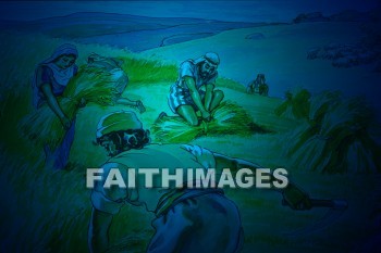 Wheat, field, man, working, harvest, bible, Story, topical, background, content, object, representation, perception, perceptual, experience, visual, image, View, concept, conceptual, idea, desktop, screen, Presentation, Present, show